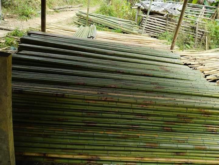 chuyên sản xuất và cung cấp sản phẩm sạp tre trúc