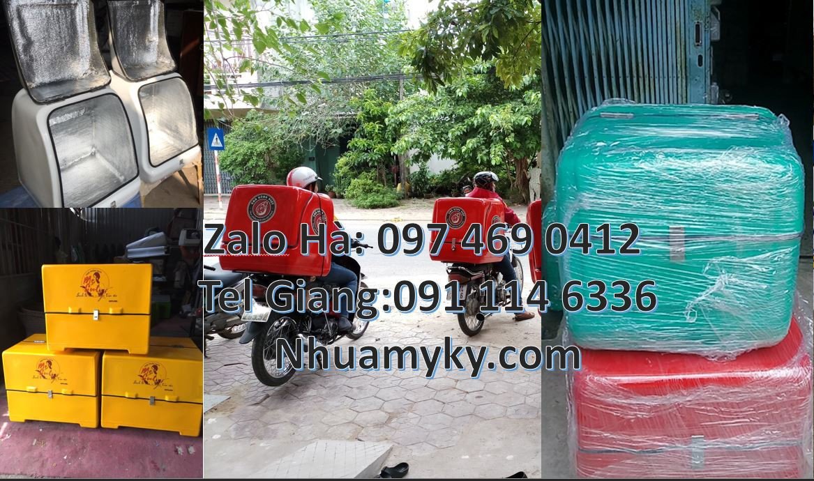 Bán thùng giao hàng tiết kiệm sau xe máy,thùng giao hàng cỡ nhỏ chất l