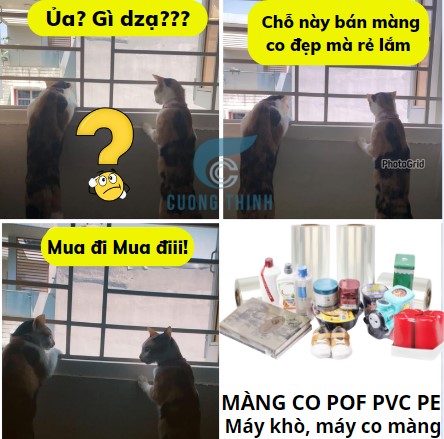 Địa chỉ cung cấp màng co nhiệt uy tín chất lượng