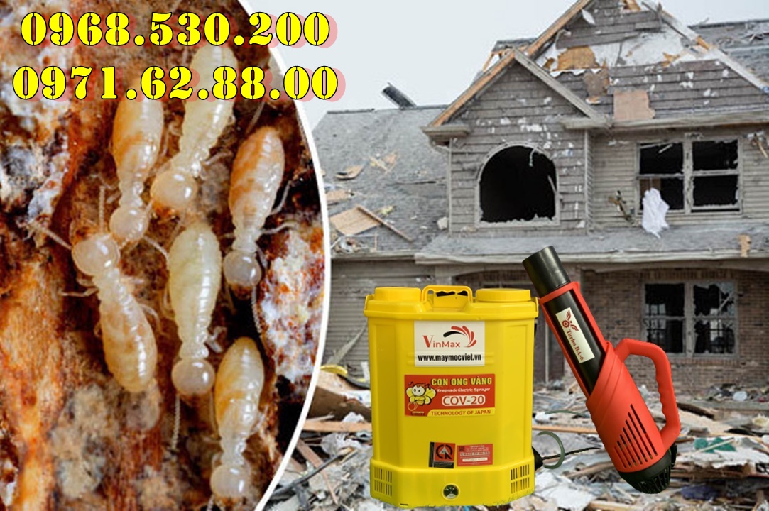 Mẹo diệt muỗi phòng sốt xuất huyết cho gia đình chung cư Turbo BA-6