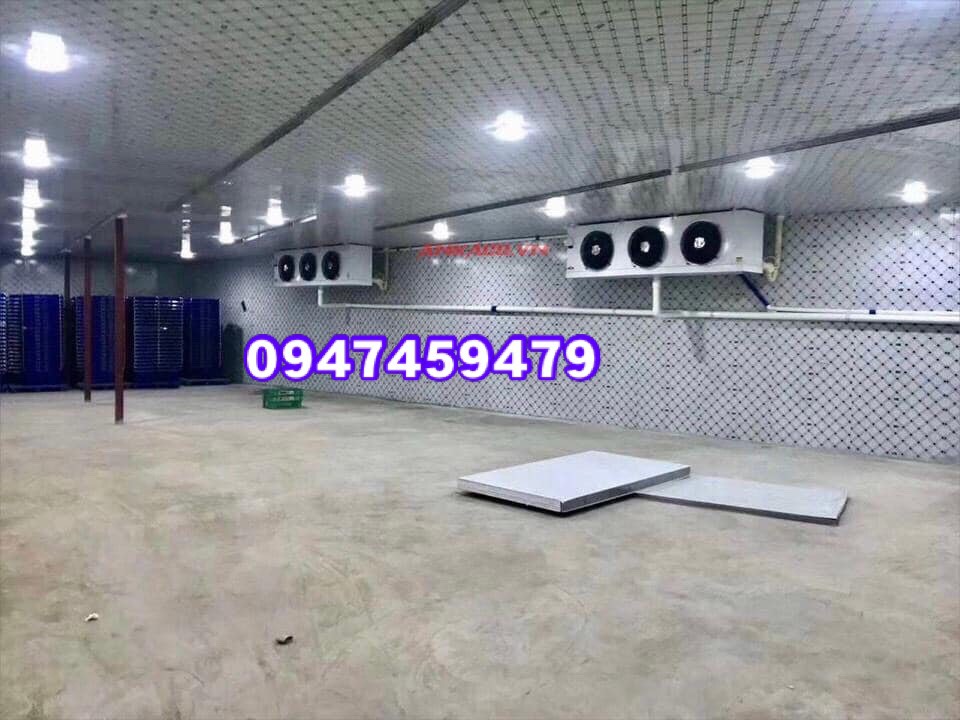 lắp đặt kho lạnh bảo quản sữa giá rẻ tại tp.hcm