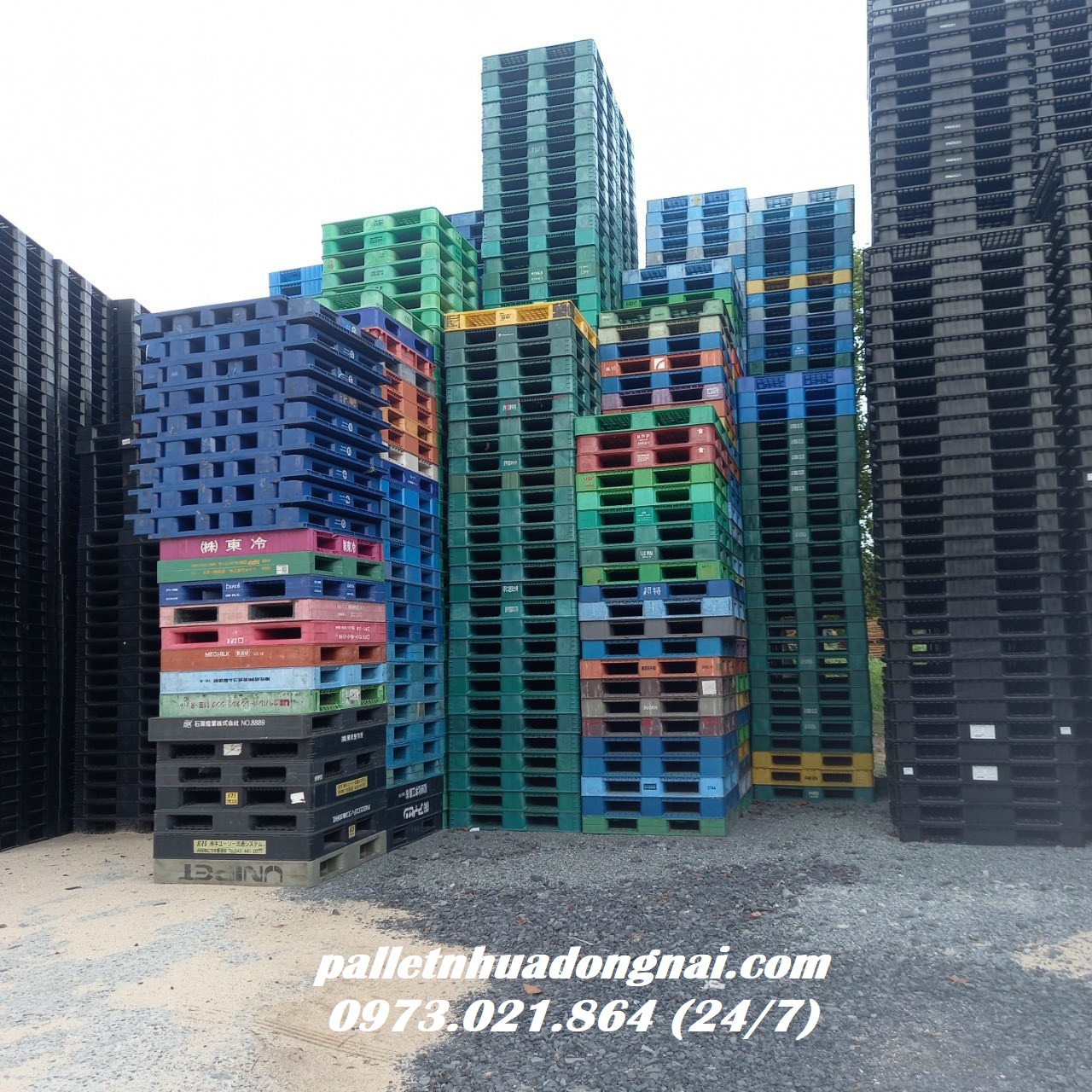 Pallet nhựa giá rẻ giao hàng tận nơi, liên hệ 0973021864