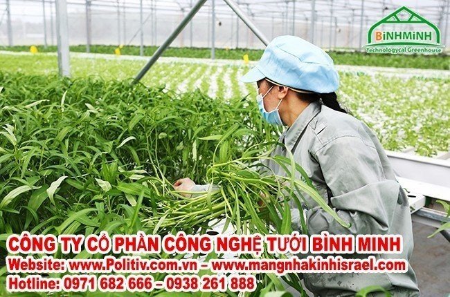 Màng nhà kính politiv Israel được tập đoàn vingroup lựa chọn sử dụng