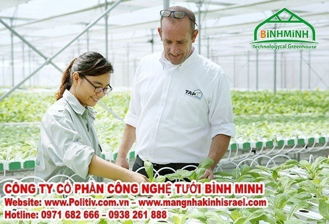 Màng nhà kính politiv Israel được tập đoàn vingroup lựa chọn sử dụng