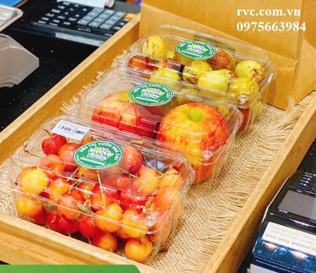 Hộp nhựa đựng trái cây và những công dụng tuyệt vời