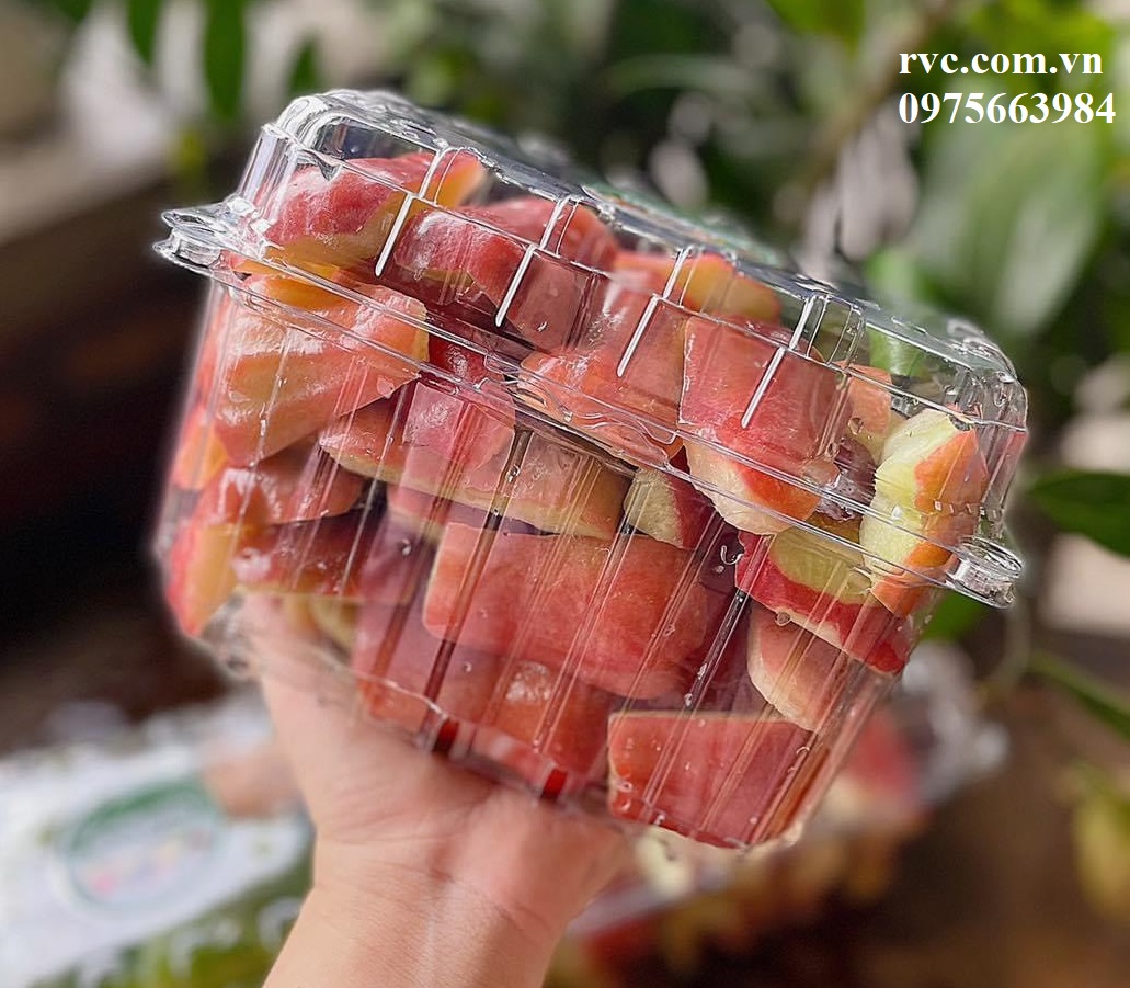 Hộp nhựa đựng trái cây và những công dụng tuyệt vời