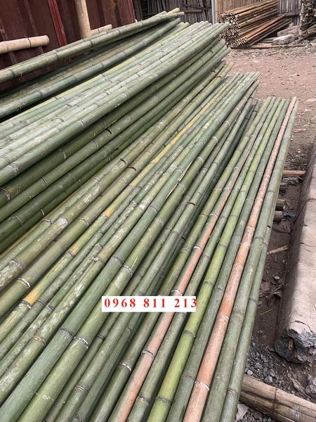 chuyên cung cấp và sản xuất hàng sạp 2m 3m 4m