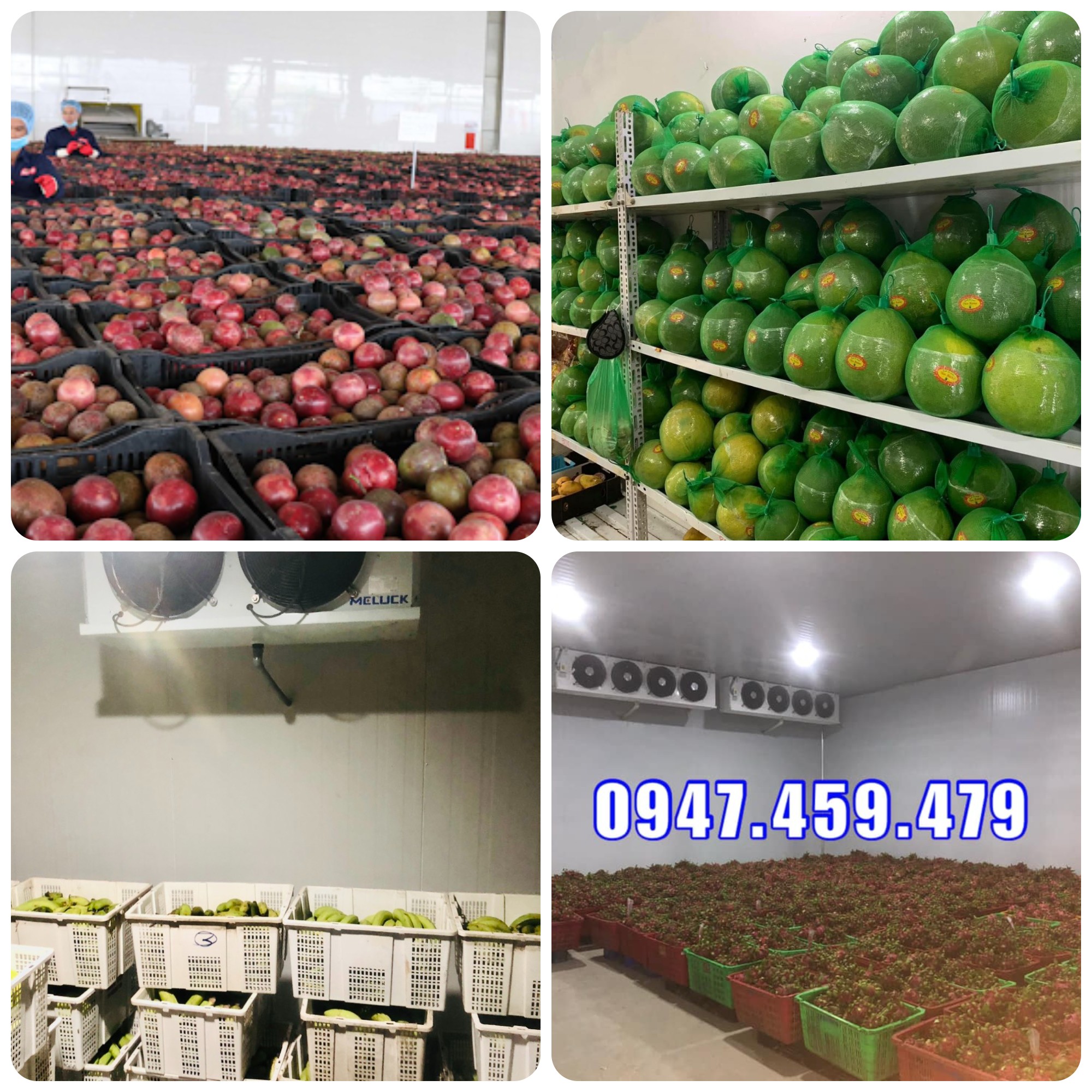 kho lạnh bảo quản trái cây đa dạng kích thước