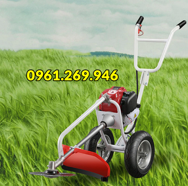 Máy cắt cỏ đẩy tay chạy xăng động cơ 4 thì GX35