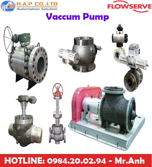 bơm chân không flowserve tại việt nam , flowserve việt nam