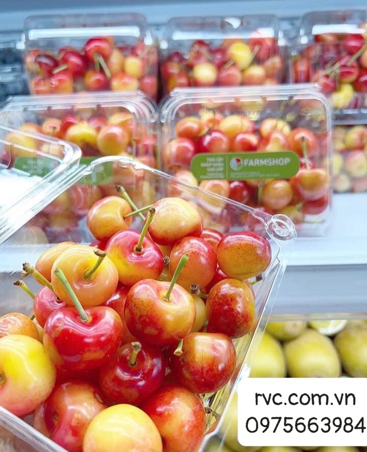 Điểm phân phối hộp nhựa đựng cherry uy tín, chất lượng tại Sài Gòn