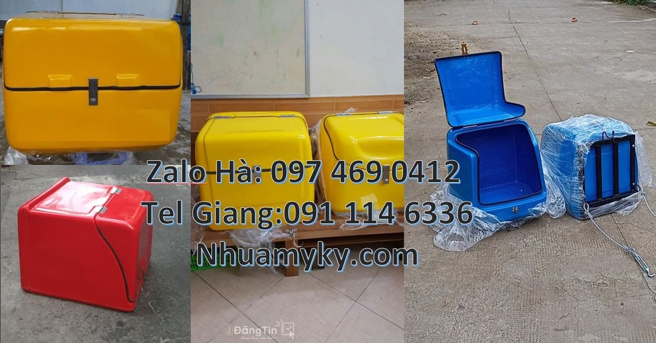 Bán thùng giao hàng đồ ăn nhanh,thùng giao bưu kiện bưu phẫm online re