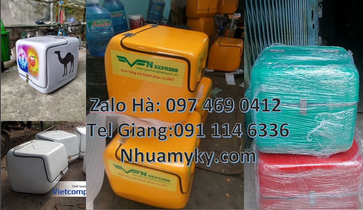 Bán thùng giao hàng đồ ăn nhanh,thùng giao bưu kiện bưu phẫm online re