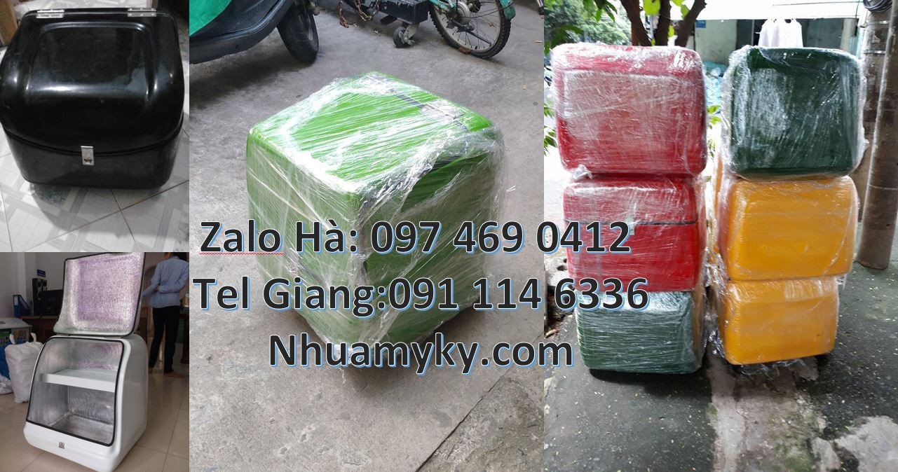 Bán thùng giao hàng đồ ăn nhanh,thùng giao bưu kiện bưu phẫm online re