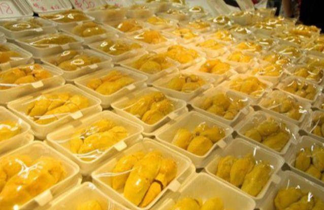kho lạnh bảo quản sầu riêng tiêu chuẩn giá tốt tại tp.hcm