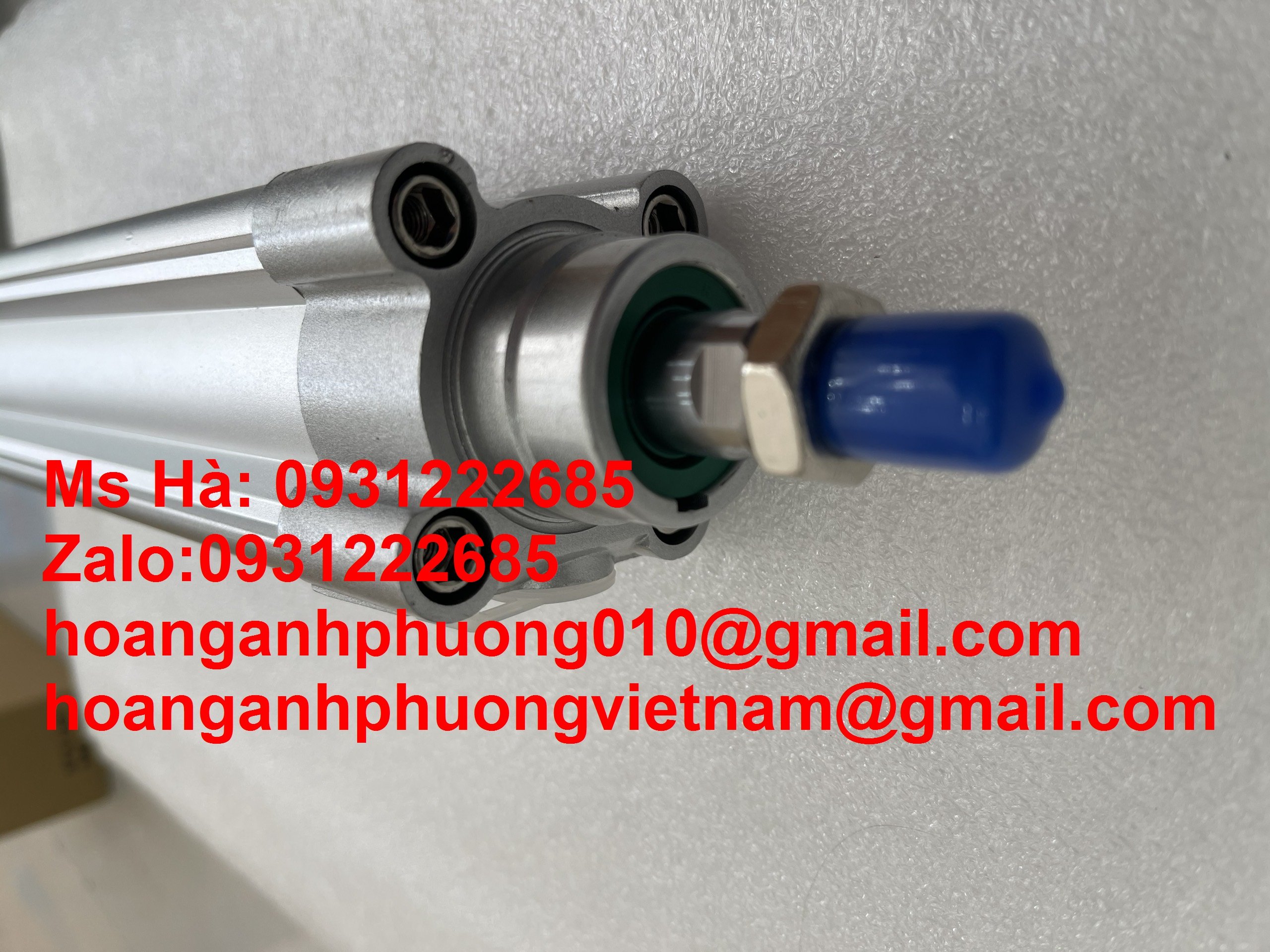 FESTO mới 100% giá cạnh tranh DSBC-40-145-PPVA-N3