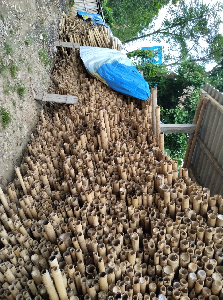 CỌC TRE ĐÃ QUA SỬ LÝ PHƠI KHÔ HÀNG ĐỆP CHẤT LƯỢNG