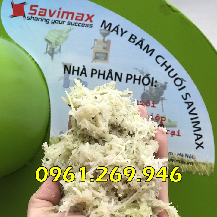 Máy băm chuối - Máy thái chuối cả cây siêu mịn cho gà vịt ăn trực tiếp