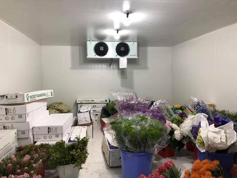 lắp đặt thi công kho lạnh trữ hoa tươi giá tốt