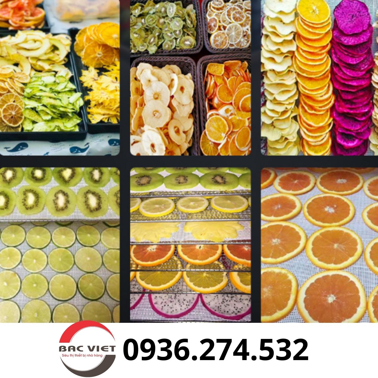 Máy sấy thực phẩm, hoa quả, dược liệu đa năng 10 khay