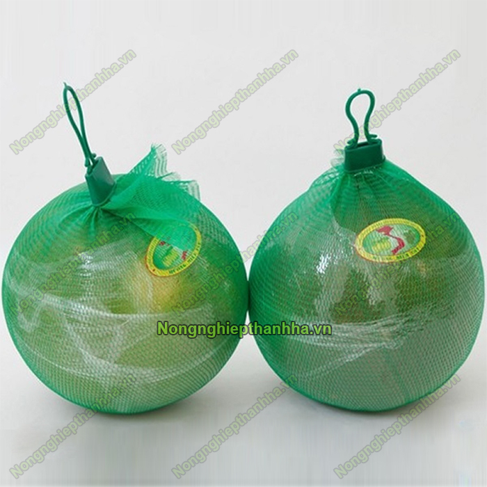 Phân phối túi lưới nhựa lớn nhất miền Bắc