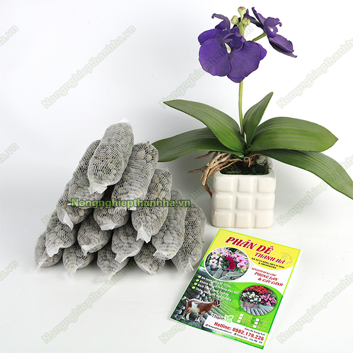 Phân phối túi lưới nhựa lớn nhất miền Bắc