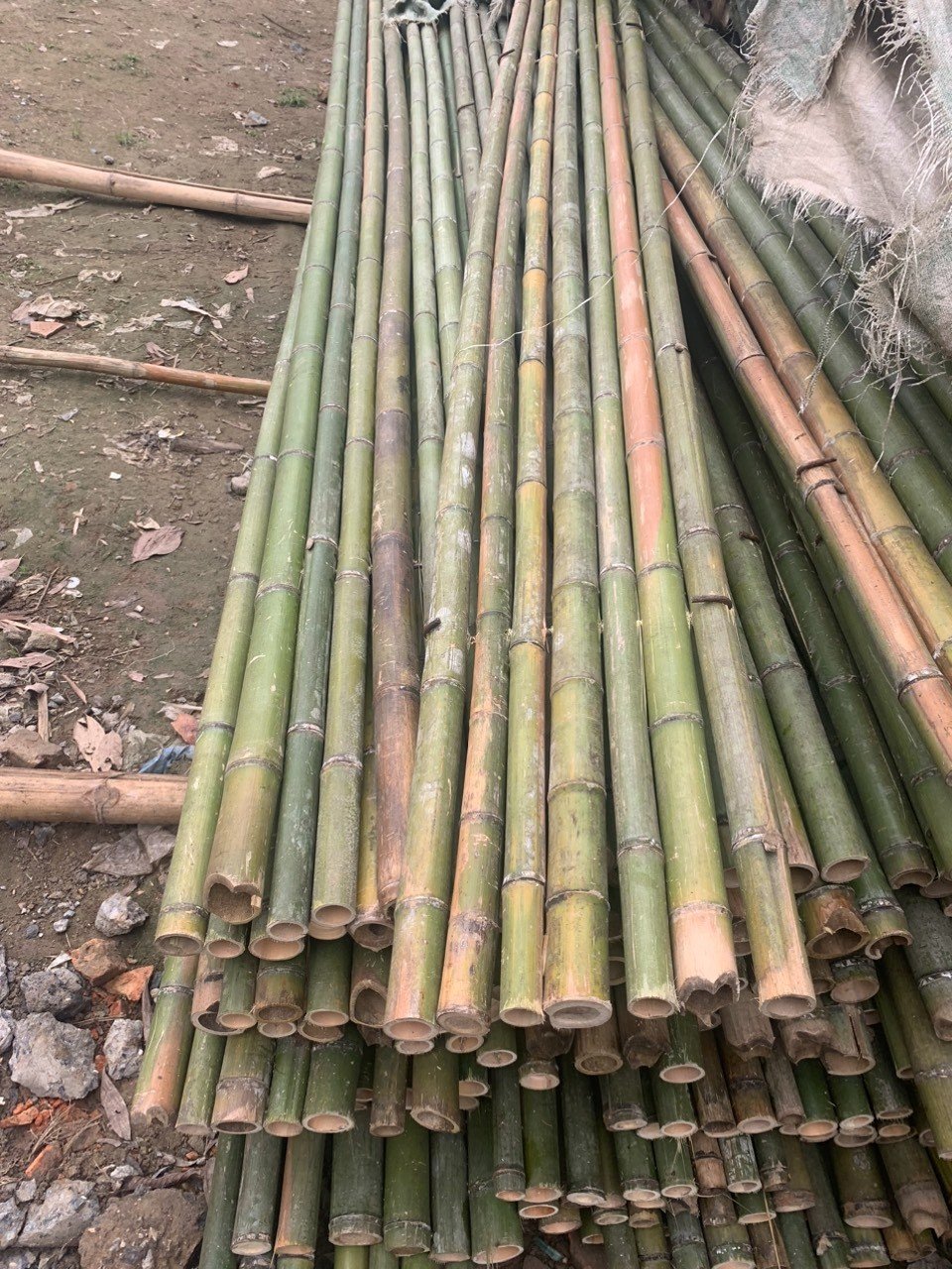 HÀNG SẠP TRE SẠP TRÚC HÀNG CHẤT LƯỢNG CÓ BẢO HÀNG