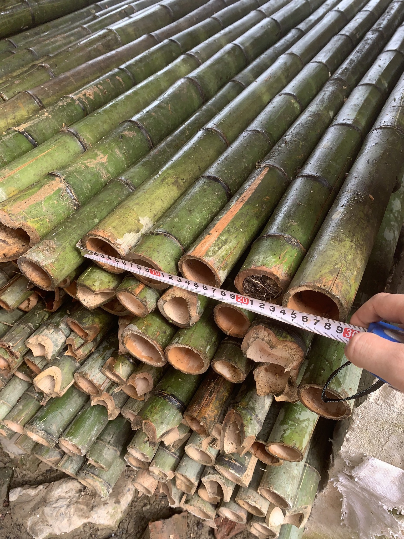Hàng sạp tre sạp trúc hàng chất lượng đẹp chắc chắn