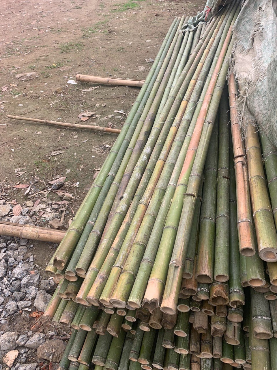 Hàng sạp tre sạp trúc hàng chất lượng đẹp chắc chắn
