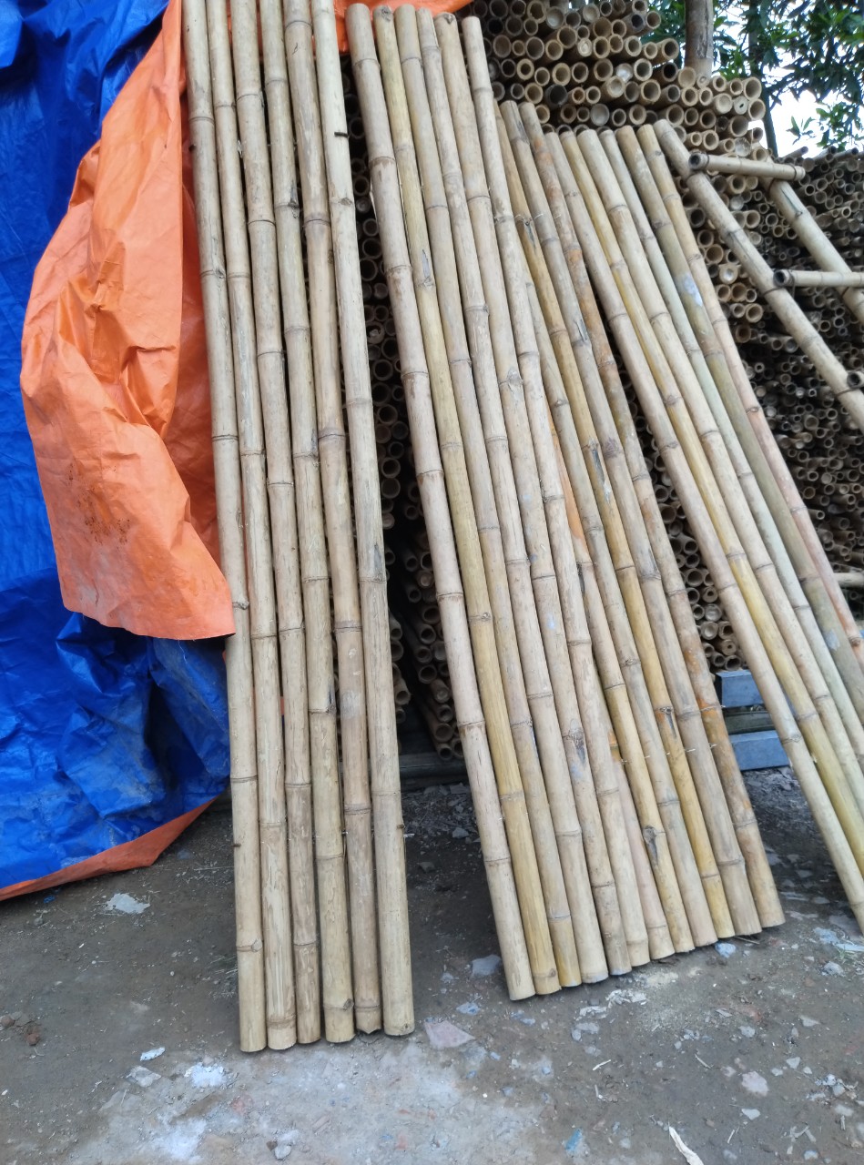 Hàng sạp tre sạp trúc hàng chất lượng đẹp chắc chắn