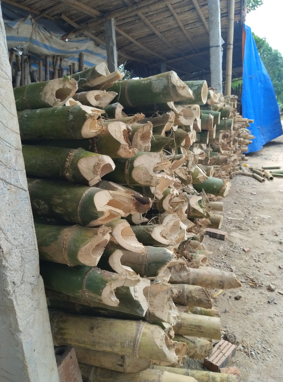 Cọc tre cọc công trình hàng hóa chất lượng đẹp có xuất hóa đơn vat