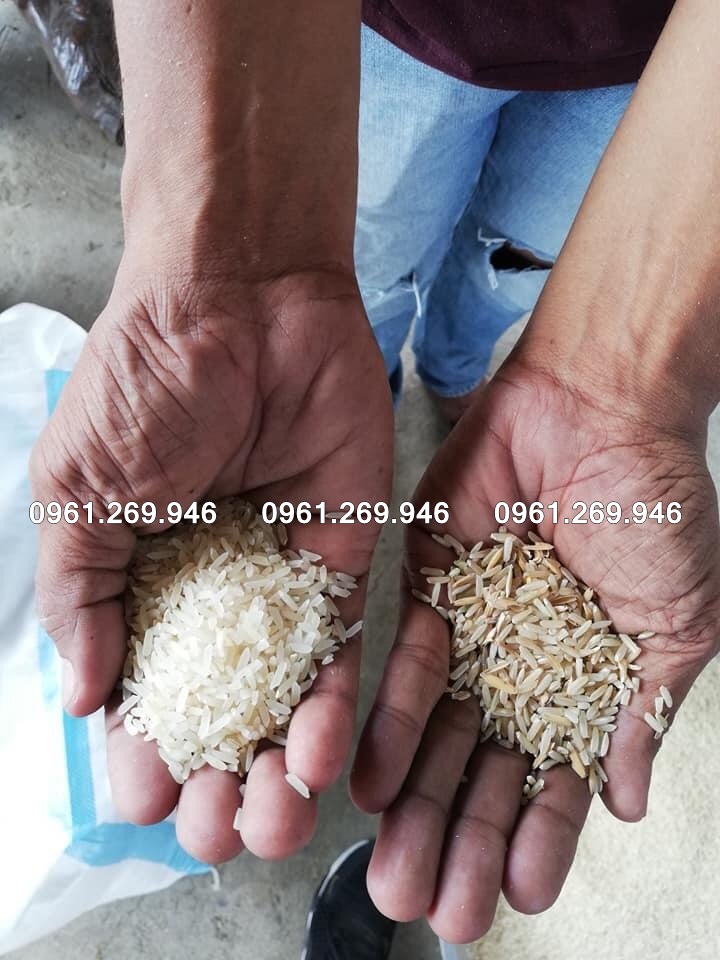 Máy xát gạo liên hoàn nhập khẩu Hàn Quốc Shinong SN300R tiêu hao thấp