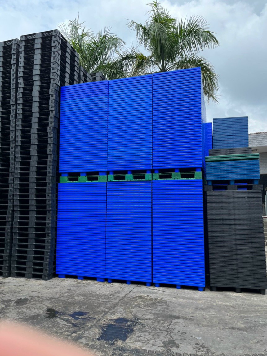Tìm mua sọt nhựa đựng sầu riêng đảm bảo yêu cầu