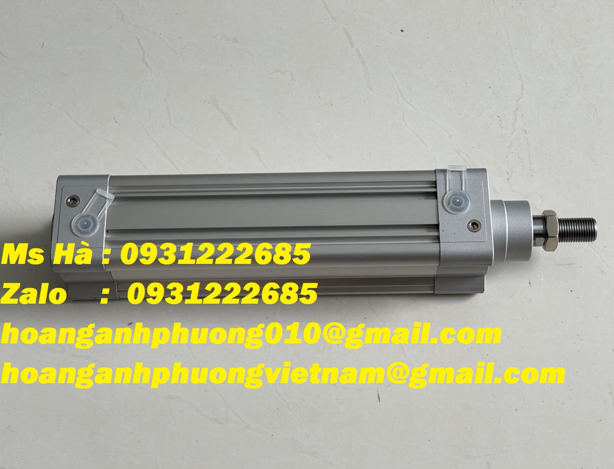 Chuyên phân phối dòng Festo chính hãng DSBC-50-160-PPVA-N3