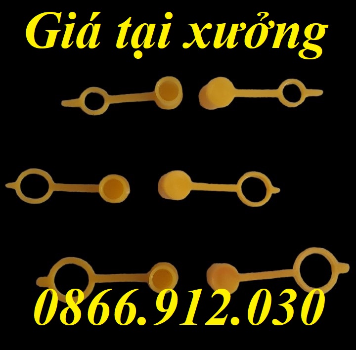 Chuyên sản xuất, phân phối nắp bịt đầu vú bơm mỡ bò kích thước m6, m8