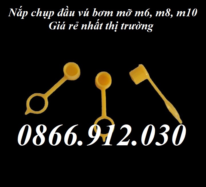 Chuyên sản xuất, phân phối nắp bịt đầu vú bơm mỡ bò kích thước m6, m8