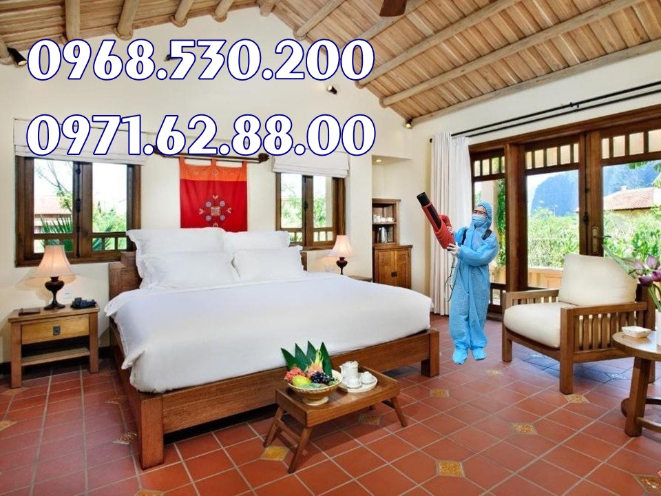 Máy phun thuốc trừ sâu , diệt muỗi , côn trùng Turbo BA-6 năm 2023