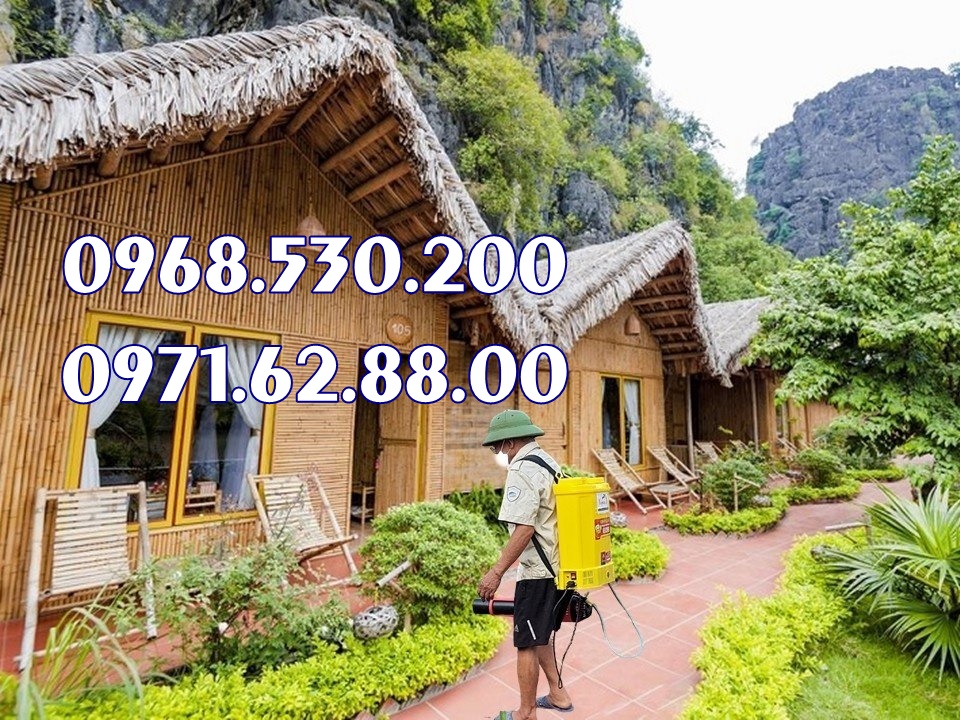 Máy phun thuốc trừ sâu , diệt muỗi , côn trùng Turbo BA-6 năm 2023