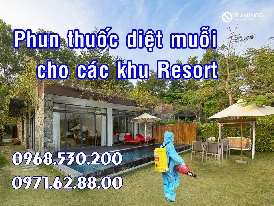 Chương trình khuyến mại 10% Máy phun thuốc muỗi , côn trùng hiệu quả