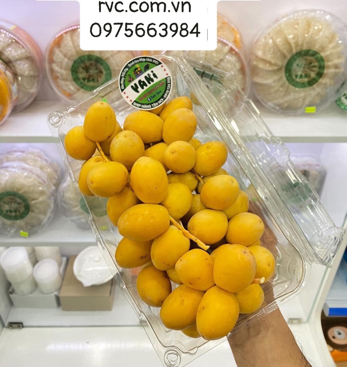 Hộp nhựa đựng trái cây 1kg và những công dụng tuyệt vời