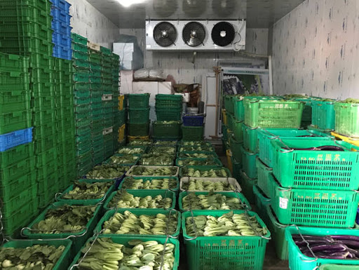 LẮP ĐẶT, sửa chữa kho lạnh bảo quản rau củ giá tốt