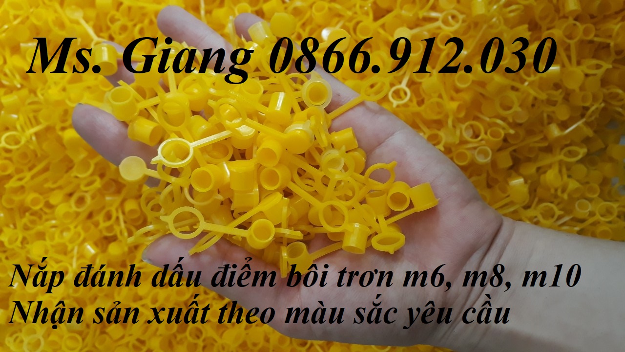 Nơi bán nút nhựa chụp đầu bơm mỡ bò giá xưởng
