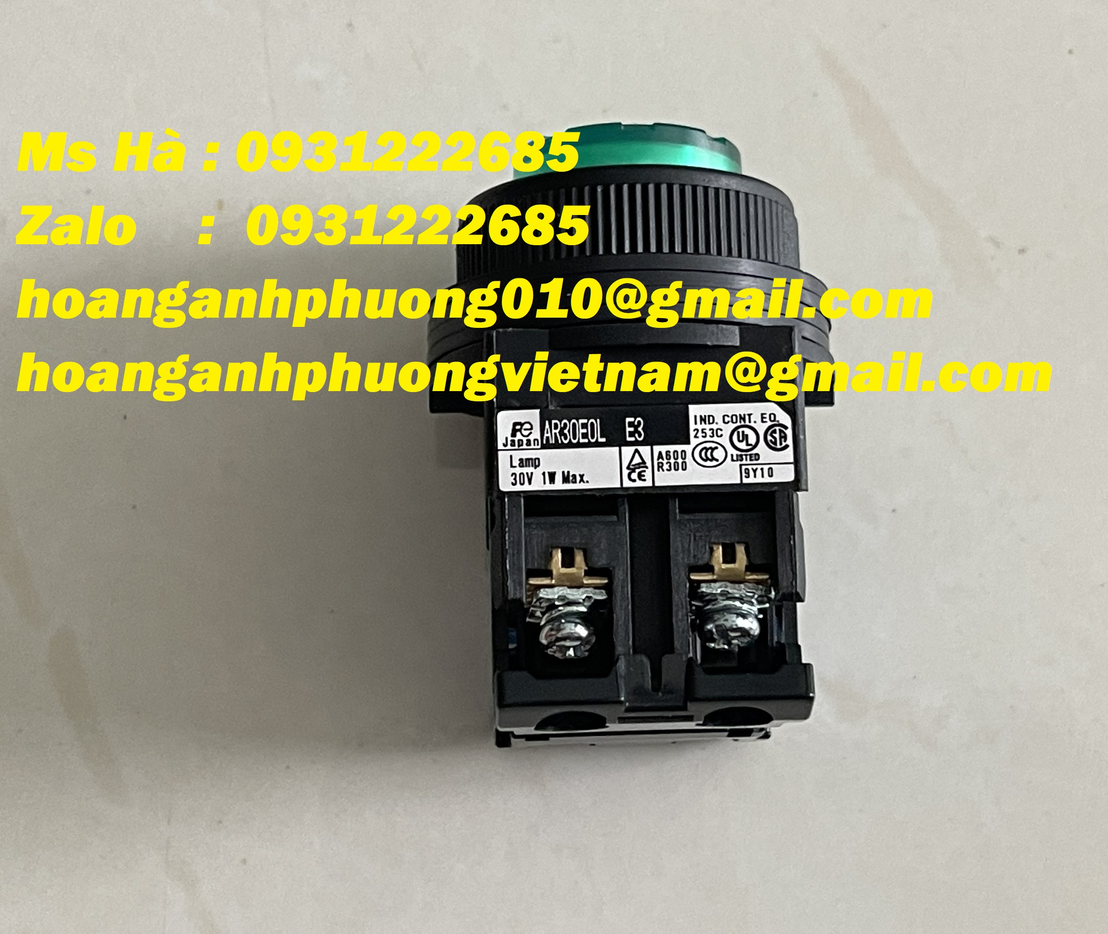 Dòng nút nhấn Fuji nhập mới AR30E0L-10E3G màu xanh lá