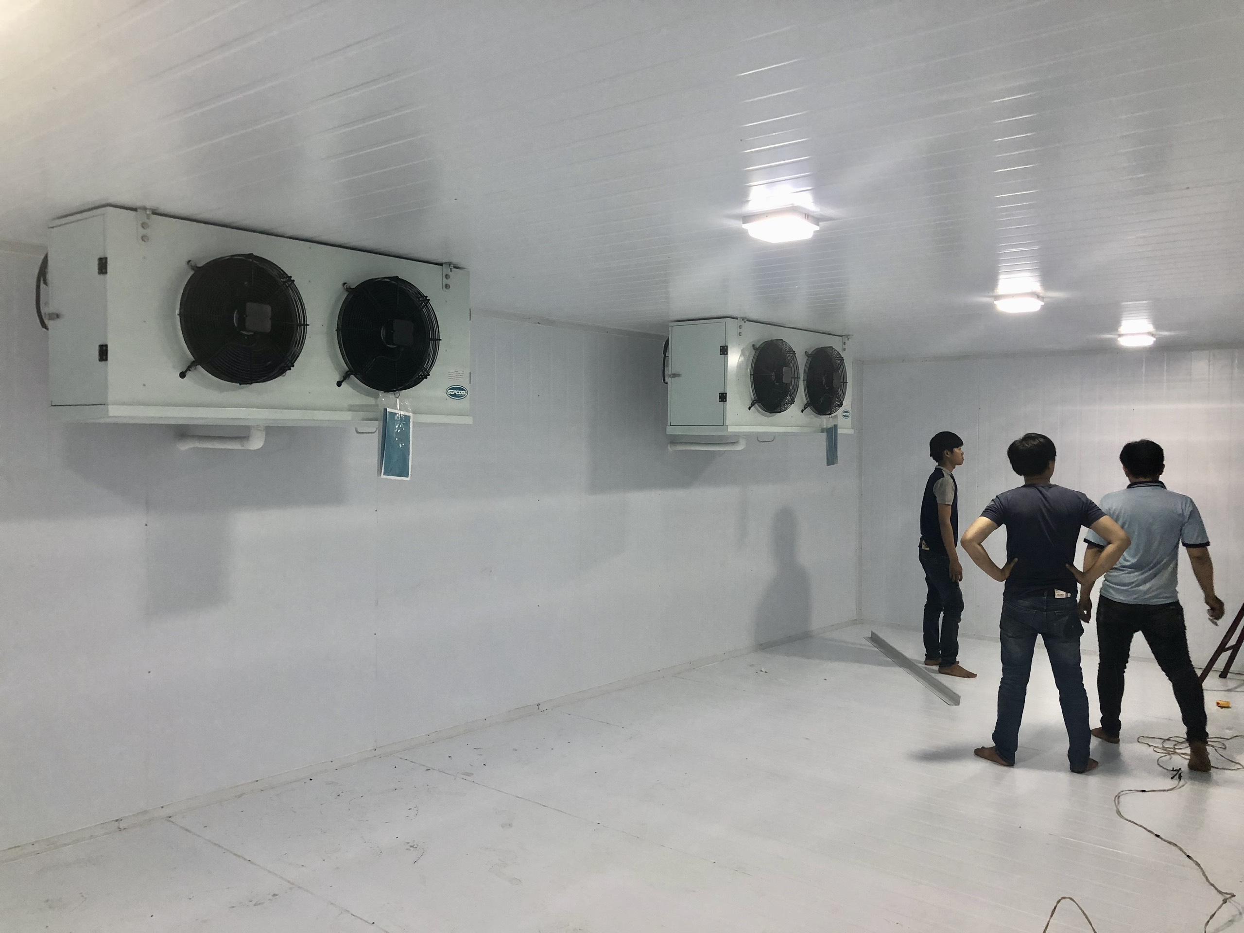 lắp đặt kho lạnh bảo quản thịt bò cung cấp siêu thị nhà hàng
