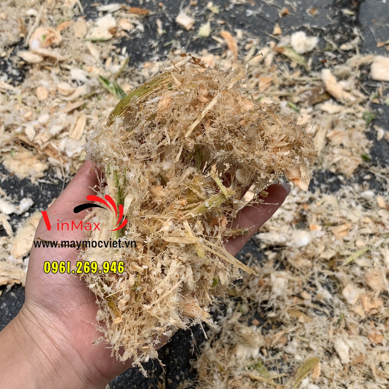 Máy băm rơm, xơ dừa nguyên trái Vinmax XND220 điện 1 pha
