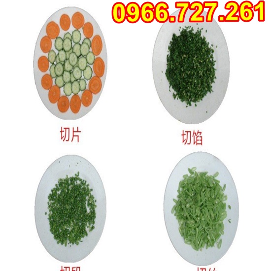 Máy thái hành lá , rau củ quả đa năng giá rẻ