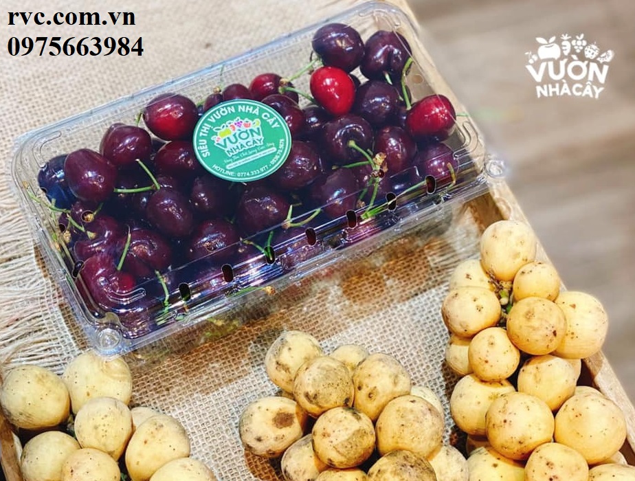 Địa chỉ uy tín cung cấp hộp nhựa đựng cherry tại Đà Lạt.