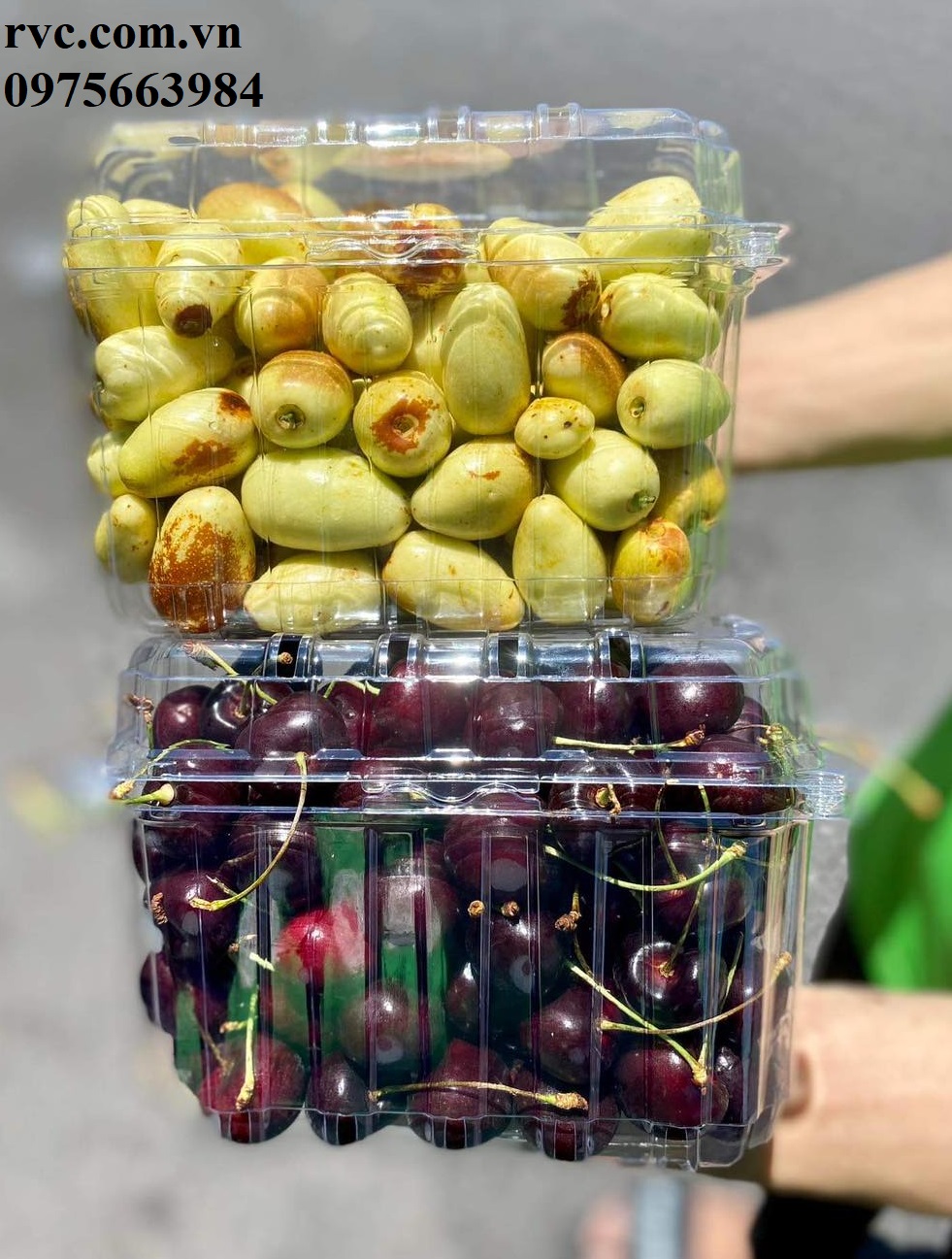 Địa chỉ uy tín cung cấp hộp nhựa đựng cherry tại Đà Lạt.