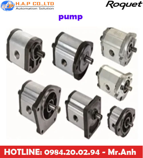 bơm bánh răng roquet tại việt nam, bơm roquet