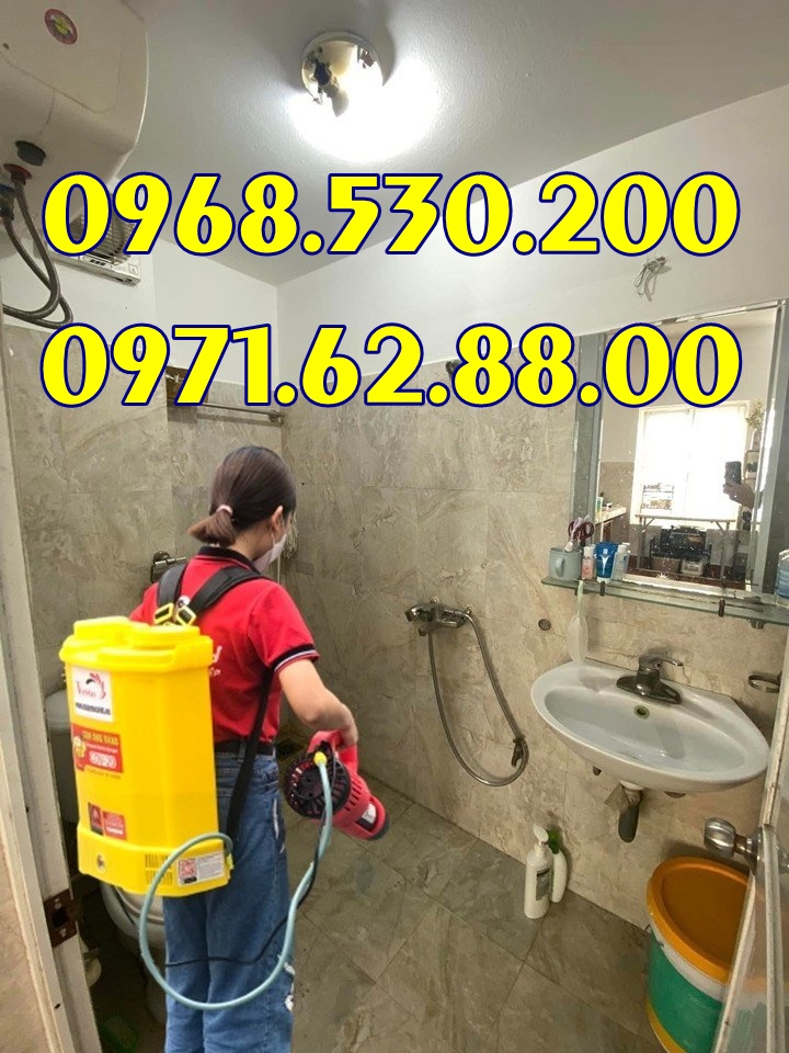Nhà nhiều muỗi nên dùng loại máy phun thuốc nào tốt và hiệu quả